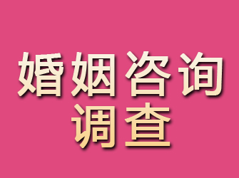 安康婚姻咨询调查